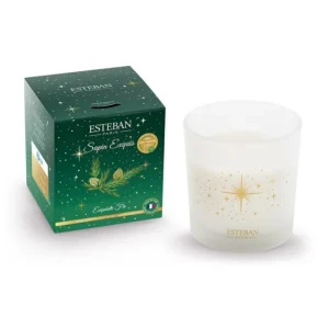 Bougie parfumée 450g Sapin exquis, Esteban