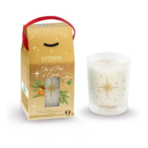 Bougie parfumée 180g Thé et Pain d'épices, Esteban