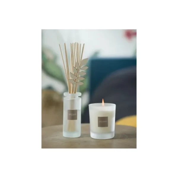 Bouquet parfumé Ambre et Baume, Esteban