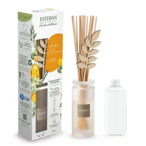 Bouquet parfumé Ambre et Baume, Esteban