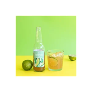 Kombucha Citron Vert et Menthe Bio 33cl, Atika