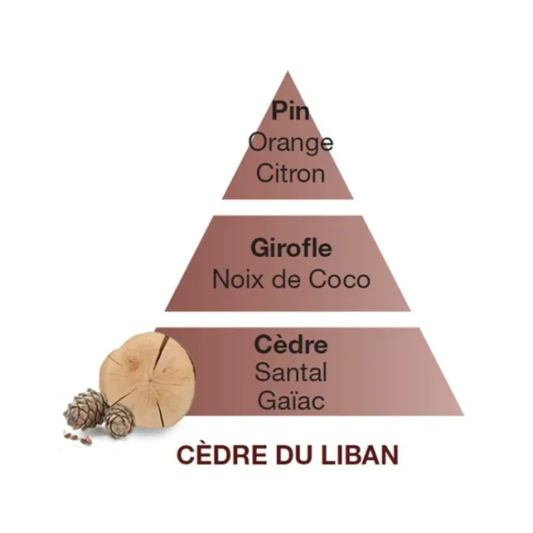 Parfum Cèdre du Liban 500 ml, Maison Berger