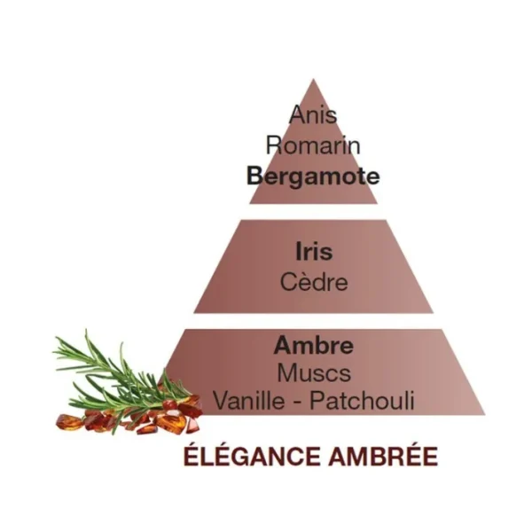 Parfum Élégance Ambrée, Maison Berger
