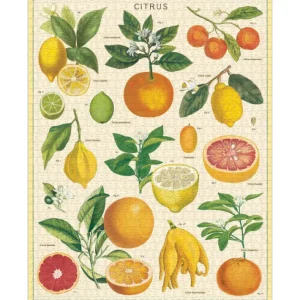 Puzzle 1000 pièces Citrus, Cavallini & Co