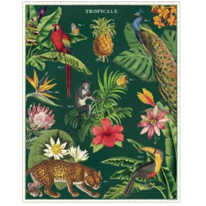 Puzzle 1000 pièces Tropical, Cavallini & Co