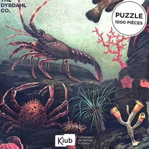 Puzzle de 1000 pièces Animaux Marins, Kiub