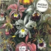 Puzzle de 1000 pièces Bouquet de Fleurs, Kiub