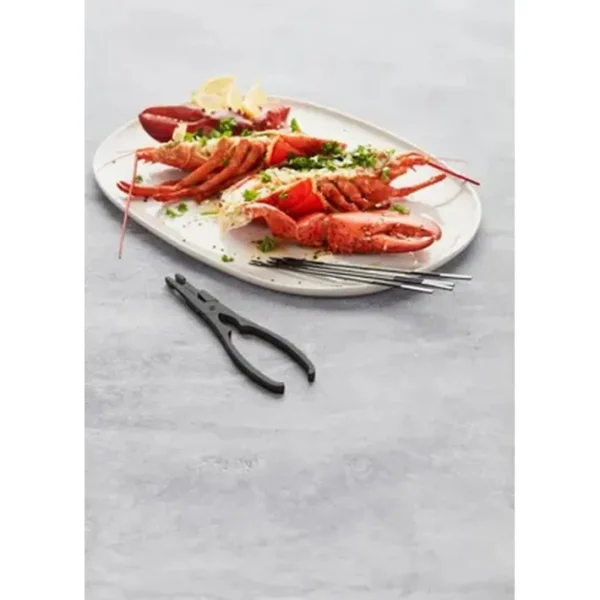 Set 5 pièces Homard Acier Noir, Point Virgule